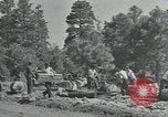 Image Civilian Conservation Corps United States USA, 1935, de la seconde 35 séquences d'archives historiques vidéo 65675074632