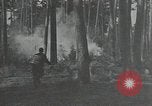 Image of Civilian Conservation Corps United States USA, 1935, second 4 stock footage video 65675074633