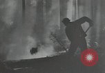 Image of Civilian Conservation Corps United States USA, 1935, second 15 stock footage video 65675074633