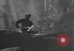 Image of Civilian Conservation Corps United States USA, 1935, second 20 stock footage video 65675074633
