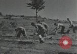 Image of Civilian Conservation Corps United States USA, 1935, second 1 stock footage video 65675074634
