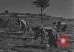 Image of Civilian Conservation Corps United States USA, 1935, second 3 stock footage video 65675074634