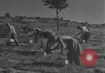 Image of Civilian Conservation Corps United States USA, 1935, second 4 stock footage video 65675074634