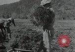 Image of Civilian Conservation Corps United States USA, 1935, second 5 stock footage video 65675074634