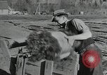 Image of Civilian Conservation Corps United States USA, 1935, second 10 stock footage video 65675074634