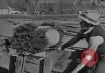 Image of Civilian Conservation Corps United States USA, 1935, second 11 stock footage video 65675074634