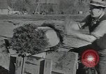 Image of Civilian Conservation Corps United States USA, 1935, second 12 stock footage video 65675074634
