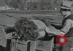 Image of Civilian Conservation Corps United States USA, 1935, second 13 stock footage video 65675074634