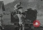 Image of Civilian Conservation Corps United States USA, 1935, second 17 stock footage video 65675074634