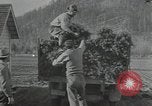 Image of Civilian Conservation Corps United States USA, 1935, second 18 stock footage video 65675074634