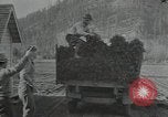 Image of Civilian Conservation Corps United States USA, 1935, second 20 stock footage video 65675074634