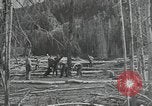 Image of Civilian Conservation Corps United States USA, 1935, second 22 stock footage video 65675074634