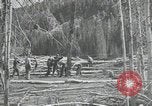 Image of Civilian Conservation Corps United States USA, 1935, second 23 stock footage video 65675074634