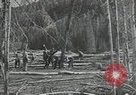 Image of Civilian Conservation Corps United States USA, 1935, second 24 stock footage video 65675074634