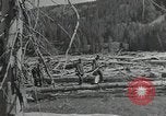 Image of Civilian Conservation Corps United States USA, 1935, second 26 stock footage video 65675074634