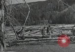Image of Civilian Conservation Corps United States USA, 1935, second 30 stock footage video 65675074634
