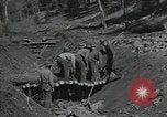 Image of Civilian Conservation Corps United States USA, 1935, second 53 stock footage video 65675074634