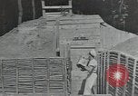 Image of Civilian Conservation Corps United States USA, 1935, second 9 stock footage video 65675074638