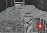 Image of Civilian Conservation Corps United States USA, 1935, second 10 stock footage video 65675074638
