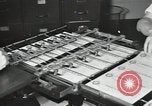 Image of Civilian Conservation Corps United States USA, 1935, second 31 stock footage video 65675074639