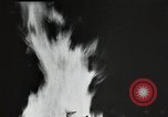 Image of Civilian Conservation Corps United States USA, 1935, second 13 stock footage video 65675074640