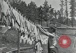 Image of Civilian Conservation Corps United States USA, 1935, second 38 stock footage video 65675074640