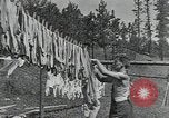 Image of Civilian Conservation Corps United States USA, 1935, second 39 stock footage video 65675074640
