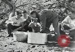 Image of Civilian Conservation Corps United States USA, 1935, second 3 stock footage video 65675074641