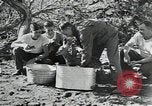Image of Civilian Conservation Corps United States USA, 1935, second 4 stock footage video 65675074641