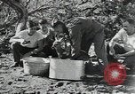 Image of Civilian Conservation Corps United States USA, 1935, second 5 stock footage video 65675074641