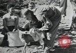 Image of Civilian Conservation Corps United States USA, 1935, second 8 stock footage video 65675074641