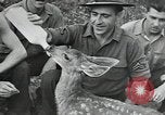 Image of Civilian Conservation Corps United States USA, 1935, second 11 stock footage video 65675074641
