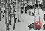 Standbild zivilen Korps Erhaltung United States USA, 1935, aus Sekunde 10 historischem Filmmaterial Videoclip 65675074647