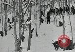 Standbild zivilen Korps Erhaltung United States USA, 1935, aus Sekunde 11 historischem Filmmaterial Videoclip 65675074647