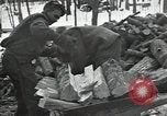 Standbild zivilen Korps Erhaltung United States USA, 1935, aus Sekunde 24 historischem Filmmaterial Videoclip 65675074647