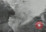 Standbild zivilen Korps Erhaltung United States USA, 1935, aus Sekunde 32 historischem Filmmaterial Videoclip 65675074649