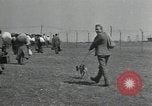 Standbild zivilen Korps Erhaltung United States USA, 1935, aus Sekunde 56 historischem Filmmaterial Videoclip 65675074652