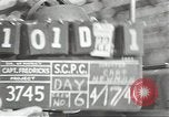 Image of African American war production aircraft workers World War 2 United States USA, 1944, second 1 stock footage video 65675074661