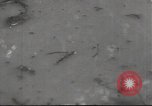 Standbild USA Soldaten Guadalcanal Salomonen, 1944, aus Sekunde 11 historischem Filmmaterial Videoclip 65675074671
