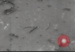 Standbild USA Soldaten Guadalcanal Salomonen, 1944, aus Sekunde 13 historischem Filmmaterial Videoclip 65675074671