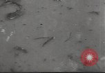 Standbild USA Soldaten Guadalcanal Salomonen, 1944, aus Sekunde 14 historischem Filmmaterial Videoclip 65675074671