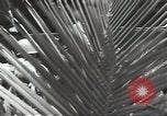 Image of United States soldiers Guadalcanal Solomon Islands, 1944, second 29 stock footage video 65675074676