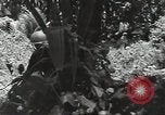 Image of United States soldiers Guadalcanal Solomon Islands, 1944, second 36 stock footage video 65675074676