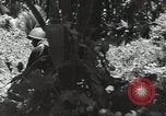 Image of United States soldiers Guadalcanal Solomon Islands, 1944, second 37 stock footage video 65675074676