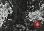 Image of United States soldiers Guadalcanal Solomon Islands, 1944, second 38 stock footage video 65675074676