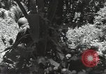 Image of United States soldiers Guadalcanal Solomon Islands, 1944, second 39 stock footage video 65675074676