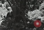 Image of United States soldiers Guadalcanal Solomon Islands, 1944, second 40 stock footage video 65675074676