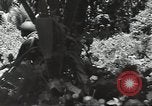 Image of United States soldiers Guadalcanal Solomon Islands, 1944, second 41 stock footage video 65675074676