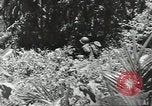 Image of United States soldiers Guadalcanal Solomon Islands, 1944, second 42 stock footage video 65675074676