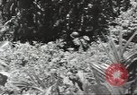 Image of United States soldiers Guadalcanal Solomon Islands, 1944, second 44 stock footage video 65675074676